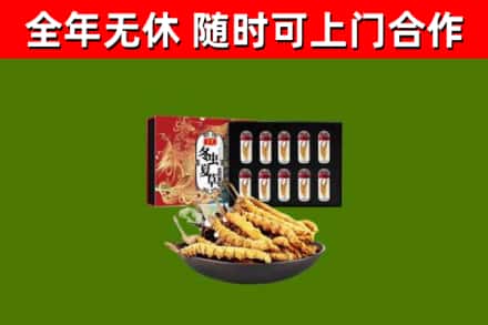 寿宁烟酒回收冬虫夏草礼盒.jpg